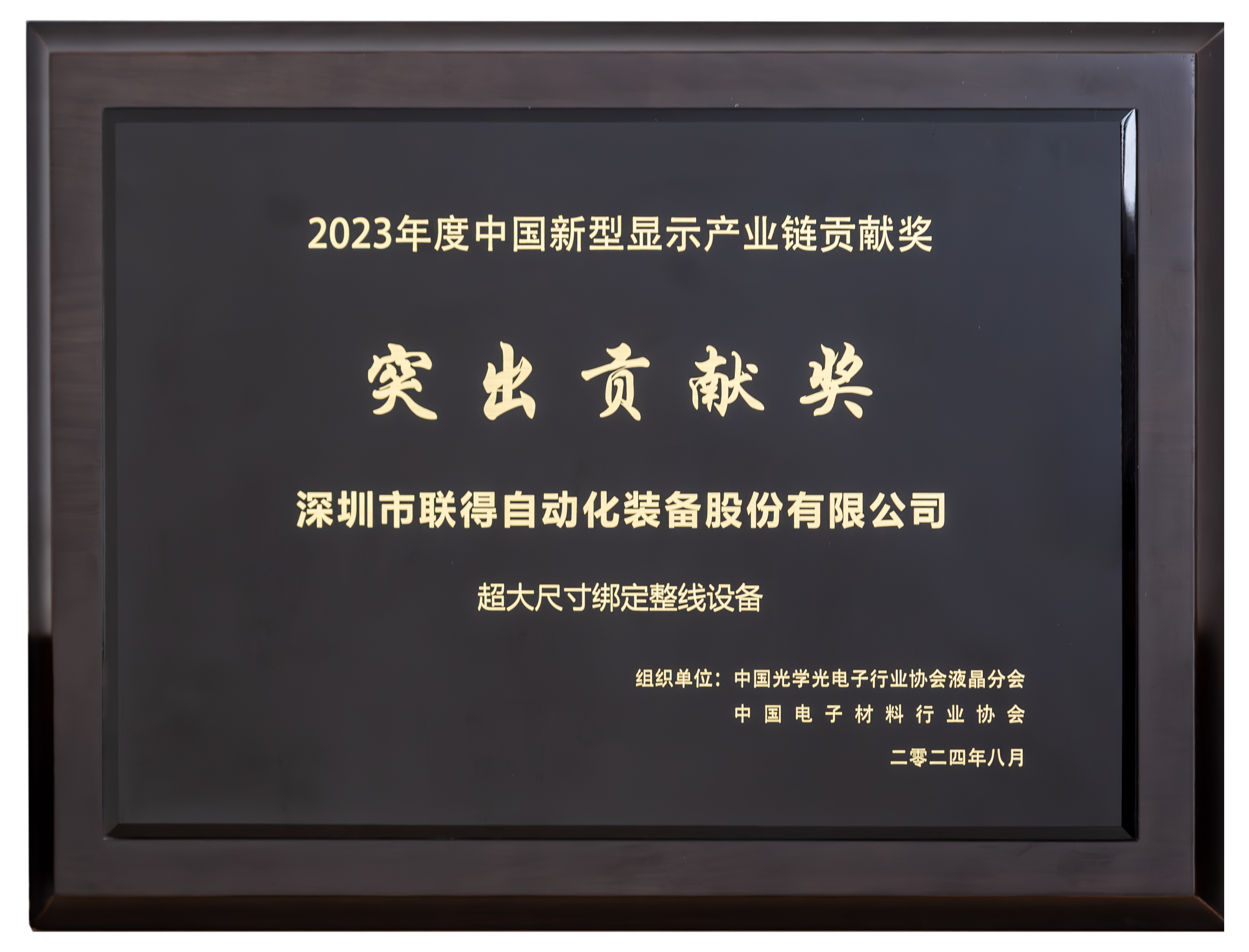 中國新型顯示產業鏈貢獻獎-突出貢獻獎.png